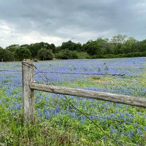 Meet your Posher, Janis